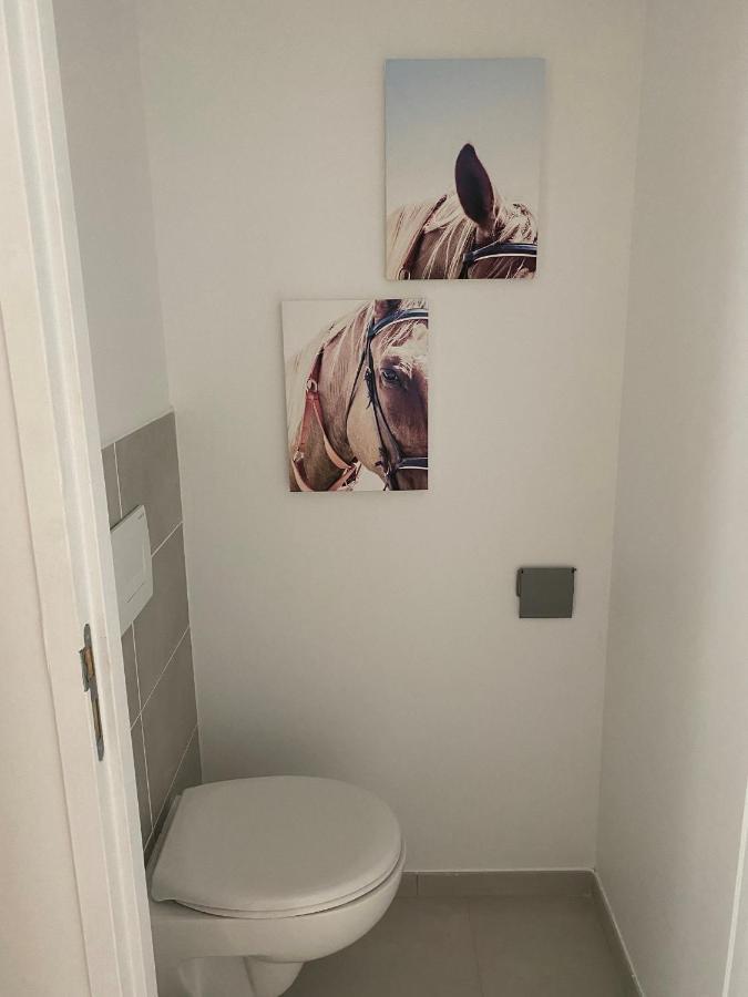 Opale Plein Sud Apartment Sarlat-la-Caneda